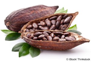 cacao-nutrition-facts